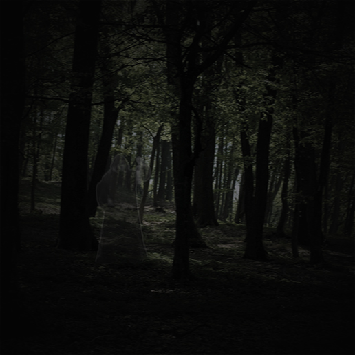 En hemsökt skog med en lyktgubbe gömd mellan träden