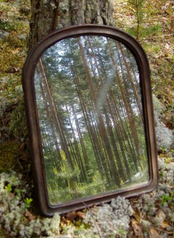 En spegel i en skog