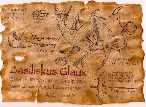 Basiliskus Glaux